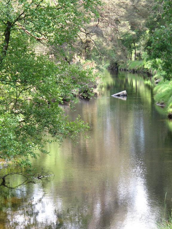 Riversdale House Accommodation Laragh Bagian luar foto