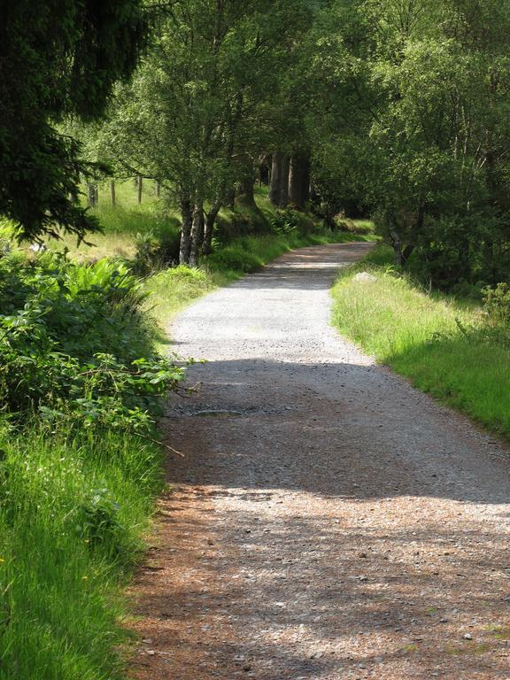 Riversdale House Accommodation Laragh Bagian luar foto